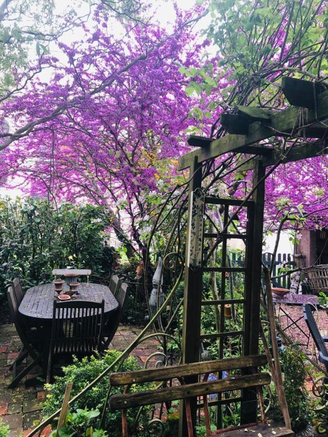 Maison D'Hotes "Les Volets Verts" Et Sa Brocante Ecueille Esterno foto