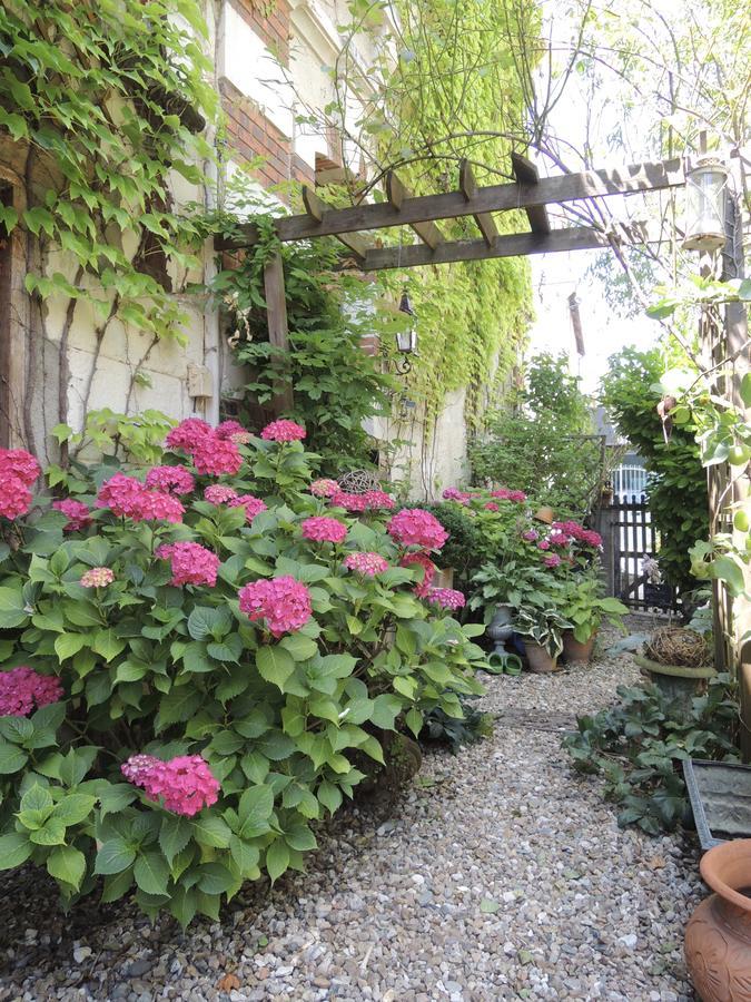 Maison D'Hotes "Les Volets Verts" Et Sa Brocante Ecueille Esterno foto